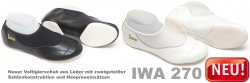 detail_95_IWA_270.jpg