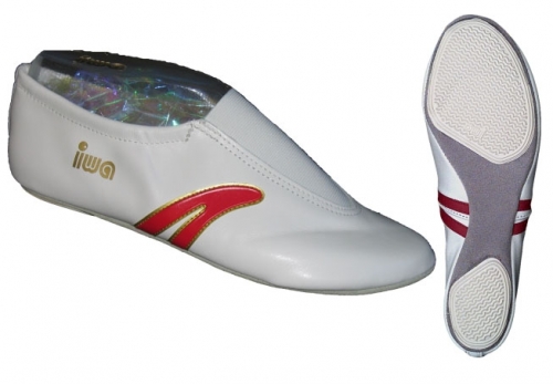 Gloed bioscoop Verschrikking IWA 401 Gymnastics Shoes